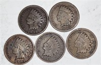 Lot of 5 Indian Head Cents