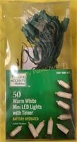 Home Accents Mini LED Lights Battery Operated