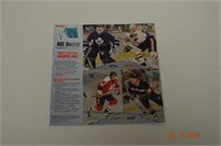 Preview NHL Hockey Cards Fleer Metal 95-96