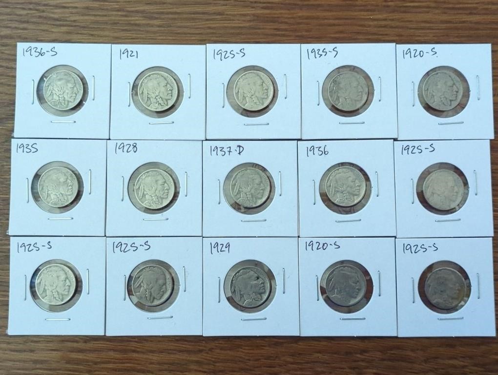 Group of vintage Buffalo nickel coins in holders