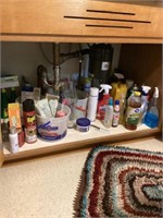 Cleaning supplies under kitchen sink bring box