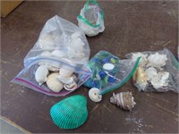 Bag of sea shells