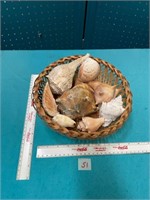 10 1/2" Basket with Conch Shells