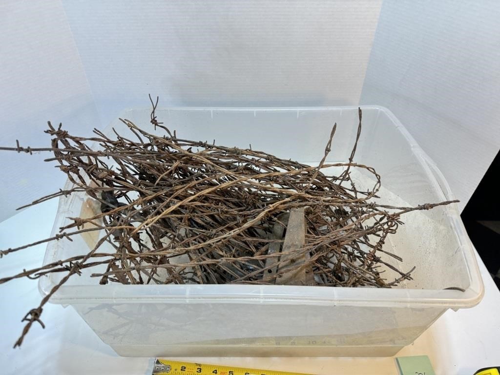 Box of Really Old Barb Wire Pieces