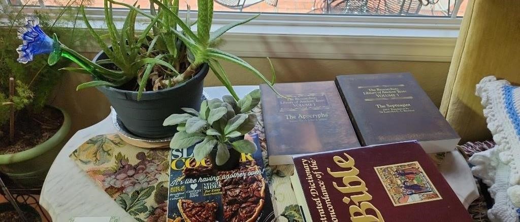 Bible book, plants and other books on table