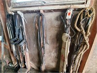 Wall of tack, rope, straps, bridles
