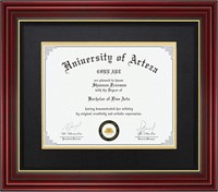 Diploma Frame Display 11x14 Document with Mat or 1