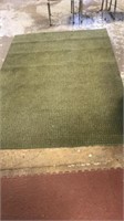 5x8 green rug
