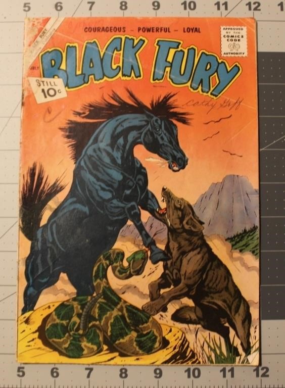 Black Fury #31 Jul 1961