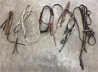 Show Halter, Bridles, Reins