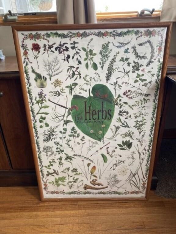 Framed Herbs print- poster