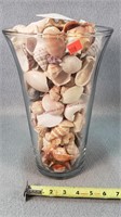 12" Vase of Seashells
