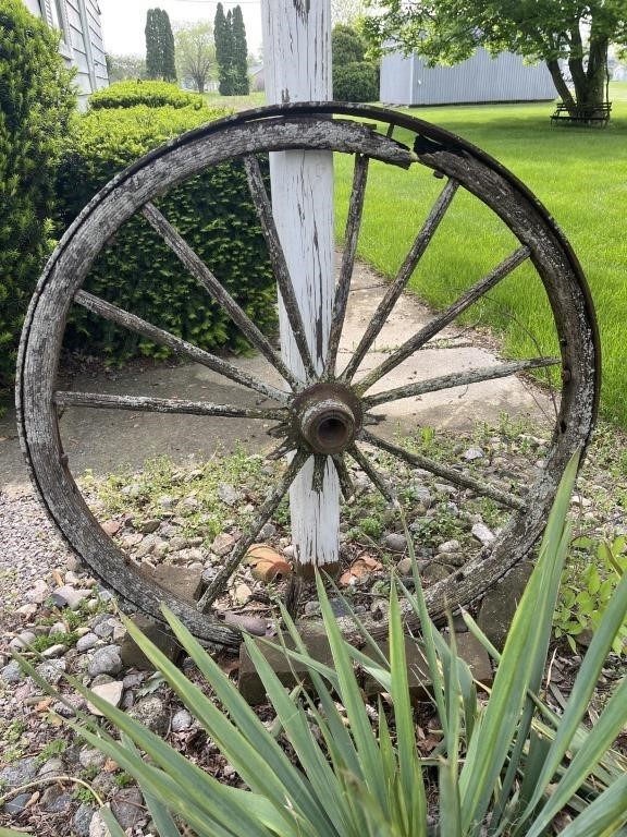 Metal rim with wooden frame &  spoked wagon wheel