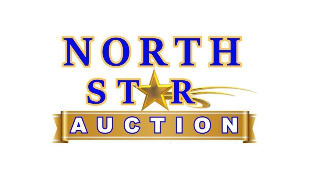 North Star Warehouse Overstock Auction (7)