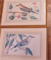 Pair of colorful bird prints in ornate