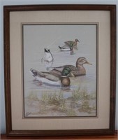 Framed Home Interior Print.  Mallard Ducks