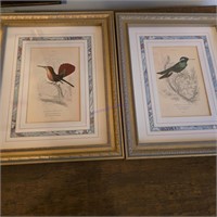 Pair of Framed Hummingbird Plates