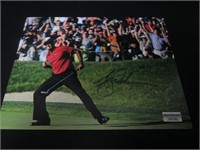 TIGER WOODS SIGNED 8X10 PHOTO AUD COA