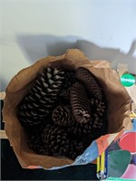 Large bag full of various decorative pinecones