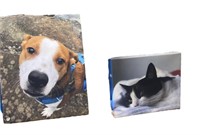 Cat & Dog Canvas prints