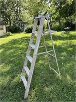 6' Painters ladder