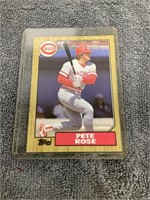 Pete Rose Card  Topps #200