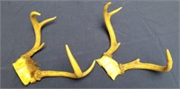 Pair of Vintage Deer Antlers