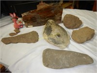 Fossils,  Clam, Petrified Wood