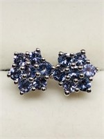 $200 S/Sil Tanzanite Earrings