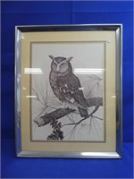 Ram Bow Owl Print 16" X 20"
