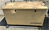 Guardian by Generac Genset