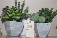 SUPER CUTE POTTED PLANTS (FAKE)