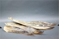 Group of Four Pieces of Whale Baleen