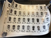 5 St. Louis Cardinals photo sheets 23x30