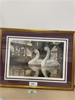 Large Swan Print and Frame - Beautiful!