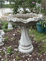 Bird Bath