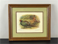 Vintage Framed Print - Pheasants