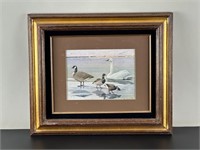 Framed Print - Canada Goose, Swan, Brant Geese