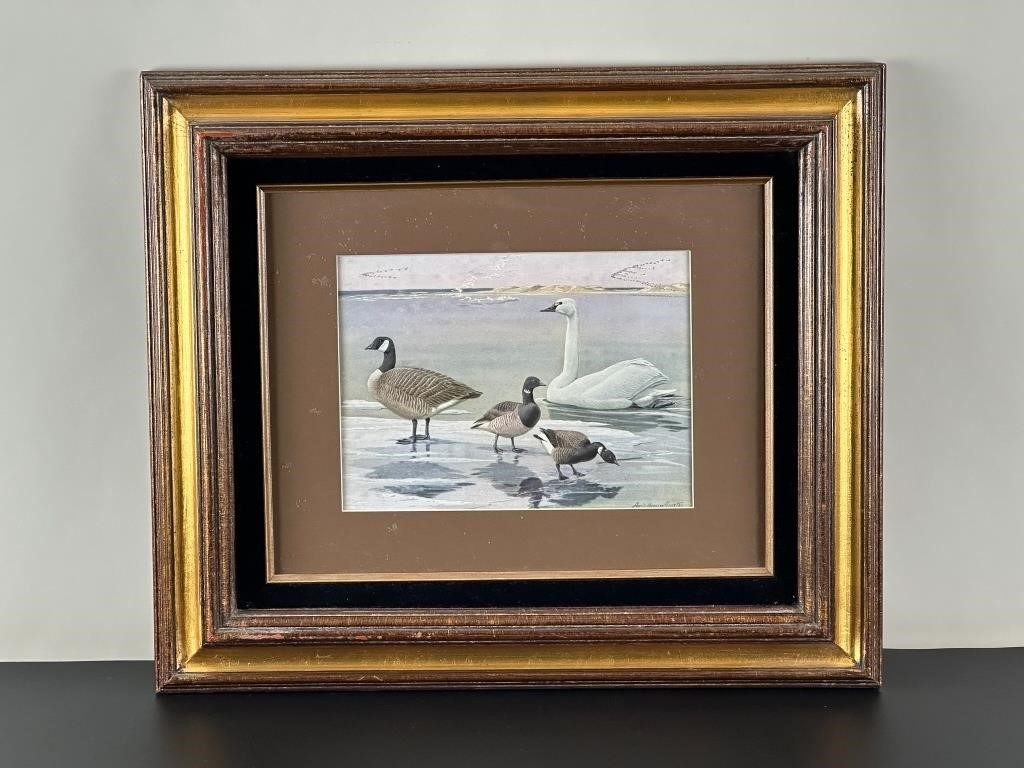 Vintage Carved Duck and Bird Decoys, Calls, Framed Prints