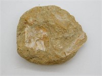 DINOSAUR BONE IN MATRIX ROCK STONE LAPIDARY SPECIM