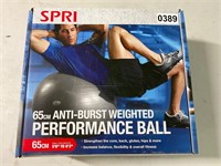 SPRI Weighted Performance Ball