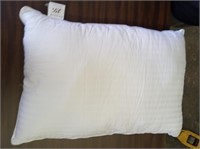 Gel Bed Pillow