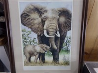 Signed print Elephant picture
