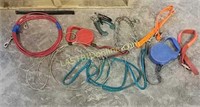 Assorted Dog Leashes & Collars