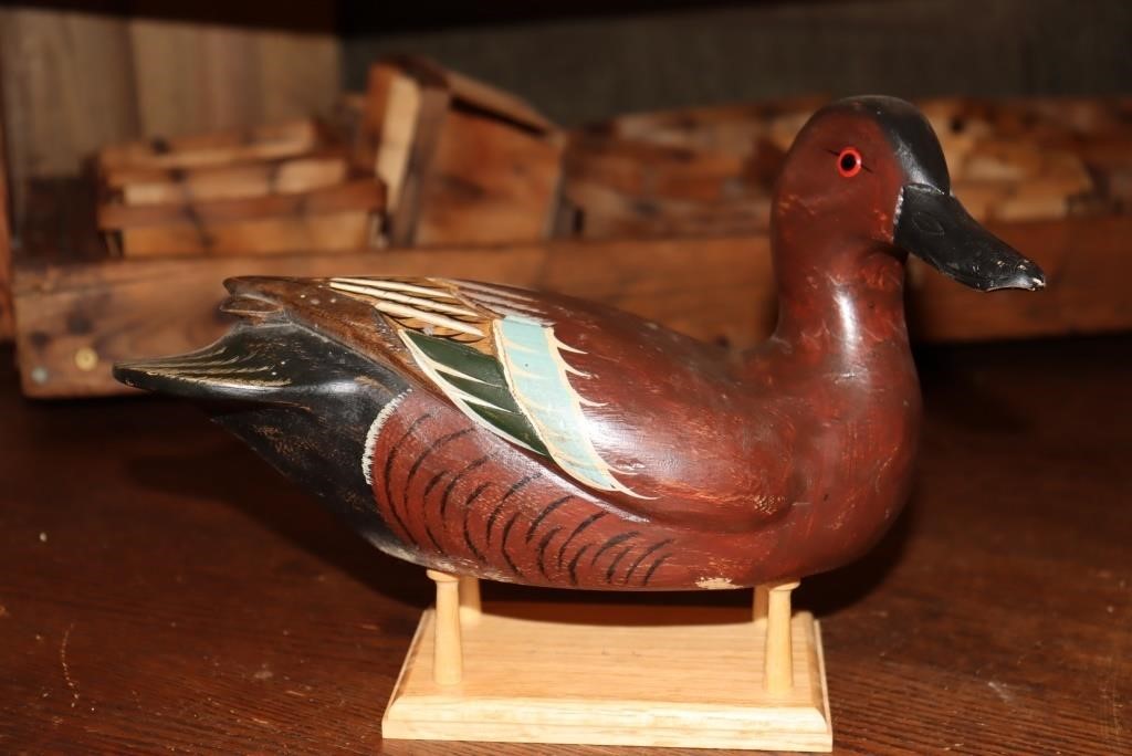 Cinnamon Teal drake decoy with head turned to