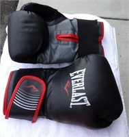 Everlast Boxing Gloves