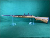 Ruger 10/22 Rifle, 22 LR