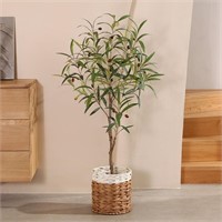 TN6505  DR.Planzen 4FT Artificial Olive Tree