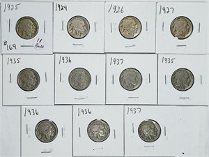 Group of 11  Buffalo Nickels