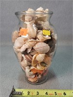9" Vase of Seashells